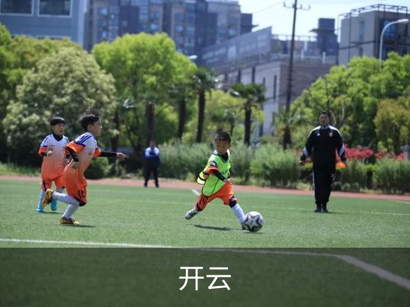 关于开云
